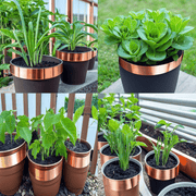 Copper Slug & Snail Adhesive Tape - Humane Protection for Your Garden - Flashback Tape