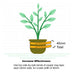 Copper Slug & Snail Adhesive Tape - Humane Protection for Your Garden - Flashback Tape