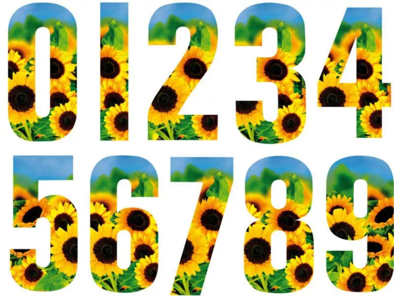 Durable Wheelie Bin Numbers – Weatherproof Stickers for Easy Identification